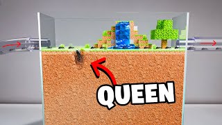 I Built Minecraft IRL for my Ant Colony [upl. by Walford716]