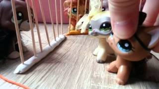 Littlest Pet Shop  Muutto maaseudulle Osa 1 [upl. by Schultz]