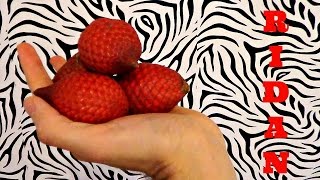 Ridan Fruit Review  Salacca Affinis Weird Fruit Explorer in Borneo  Ep 131 [upl. by Ecirtal]