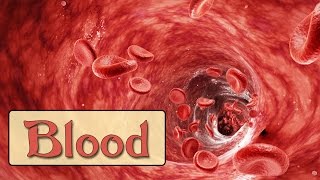 Easy Physiology  Blood  1Hemostasis amp Coagulation Cascade [upl. by Laurella66]