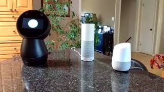 Asking Jibo Alexa and Google Home quotWhat is the newsquot [upl. by Mauer]