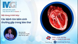 MediGroup I Các bệnh tim bẩm sinh thường gặp trong bào thai  TS BS Lê Kim Tuyến  Viện Tim TPHCM [upl. by Rovert]