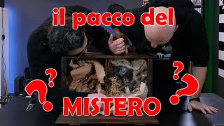 IL PACCO DEL MISTERO [upl. by Notsur447]