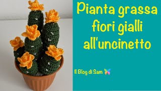 Spiegazione della pianta grassa alluncinetto con i Fiori gialli [upl. by Atsok521]