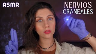 ASMR • Examino tus NERVIOS CRANEALES Roleplay Examen Médico Completo [upl. by Inat]