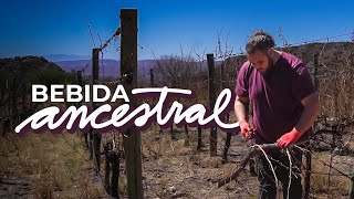 🍷🍇 Vive aislado entre montañas La INCREIBLE historia del hombre que hace VINO en un PUEBLO PERDIDO [upl. by Bergerac]