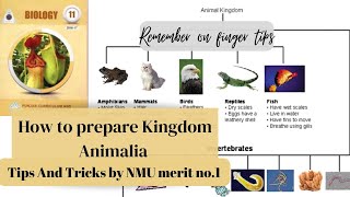 How To Prepare Kingdom Animalia For MDCAT  MDCAT Preparation  NMDCAT 2022 [upl. by Eseer192]