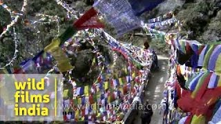 Thousands of Buddhist prayer flags en route Taktsang monastery Bhutan [upl. by Einnal621]