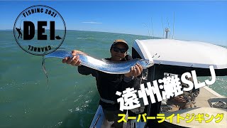 【スーパーライトジギング】浜名湖 遠州灘 沖 最近の SLJ はあんまりだけどやっぱ テンヤ は良く釣れると思った今日この頃の 釣り [upl. by Angell]