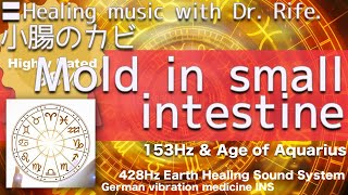 〓Mold in small intestine Relax amp Healing music with Dr Rife✅小腸のカビ [upl. by Janeen]