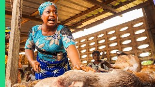 Extreme Bushmeat Nigerias WILD Animal Markets [upl. by Rebmyt732]