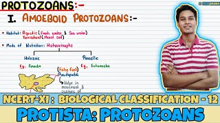 Biological Classification Lec 12 Protista Protozoans Class 11 NEET Neetology [upl. by Aihsiym]