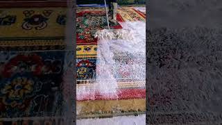 Carpet cleaning viralvideo shortvideo shortsfeed carpetcleaning [upl. by Oirasan]