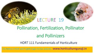 HORT111 Lecture 19 Pollination Fertilization Pollinators and Pollinizer  परागण और निषेचन [upl. by Elyak]