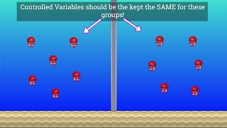 Variables in Science Independent Dependent and Controlled [upl. by Stacy]