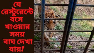 যে রেস্টুরেন্ট থেকে বাঘ দেখা যায়। Tiger Restaurant SafariPark [upl. by Deirdra]