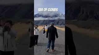 SEA OF CLOUDS NEW ZEALAND clouds scenery spot winter nz [upl. by Abbottson]