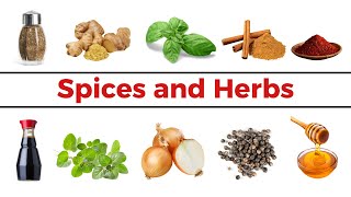 Spices and Herbs  Cooking Herbs  English Vocabulary [upl. by Giddings375]