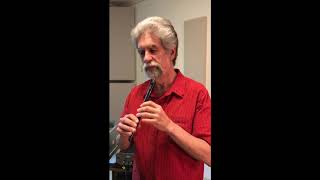 Irish Folk Music  Monaghan Jig  Tin Whistle Tutorial  Tabs [upl. by Lyons102]