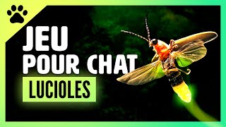 Jeux pour chat sur ecran  lucioles volantes et sons de la nature [upl. by Woothen]