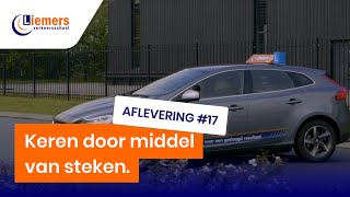 KEREN door middel van 3X STEKEN  DIT GAAT FOUT [upl. by Blight]