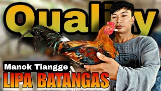 Pinakamalakas na tianggehan ng manok sa batangas [upl. by Nirraj134]