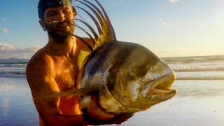 Popper Fishing Roosterfish IN THE SURF [upl. by Attenwahs]