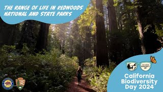 BIODIVERSITY WEEK The range of life in Redwood National and State Parks [upl. by Merle911]