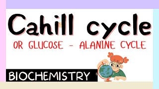 Cahill cycle  Glucose  Alanine Cycle  Biochemistry  MBBS 1st year [upl. by Saxon]