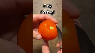 Easy Tomato Peeling shorts hack tips [upl. by Terri]