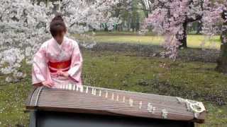 さくらSakura 25絃箏 25 strings koto [upl. by Mushro92]