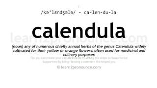 Pronunciation of Calendula  Definition of Calendula [upl. by Dnomse525]