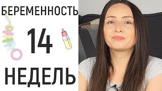 14 неделя беременности • На машине по Швеции [upl. by Nitsraek43]