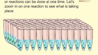 Taqman PCR [upl. by Westbrook]