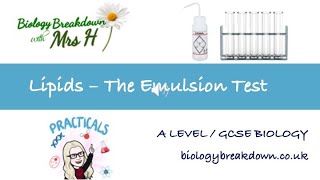 Lipid Emulsion Test  GCSE  A Level Biology [upl. by Eilsek]