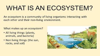 What is Ecosystem in Urdu  Hindi  Lecture no  34 [upl. by Ardnaeed]