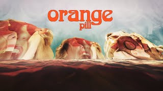 Orange Pill OP15  Bathing in Alien Technology with Sean Lennon [upl. by Joselyn]