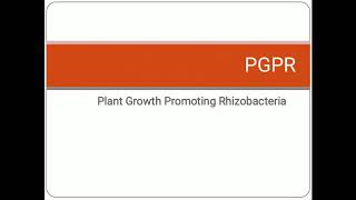 PGPR  Plant Growth Promoting Rhizobacteria  Soil Microflora [upl. by Cello564]