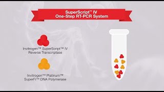 1step vs 2step RTPCR—which one is right for your application [upl. by Horatio483]