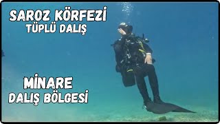 Saros Körfezi Tüplü Dalış  Minare Dalış Bölgesi  Scuba Diving [upl. by Aimej]