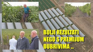 BOLJI NEGO PREMIJUM DJUBRIVA  POBOLJŠIVAČ zemljišta u POVRTARSTVU U VINOGRADARSTVU  šta je dao [upl. by Nellda]