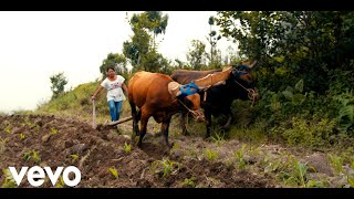 LOBO MIXTECO  MUJER DE CAMPO Video Clip 4K 2023 [upl. by Norry]