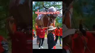 pawai budaya trieanadailyvlog jaranan [upl. by Ahseyd]