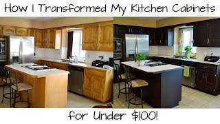 How I Transformed My Kitchen Cabinets for Under 100 [upl. by Arraeit]