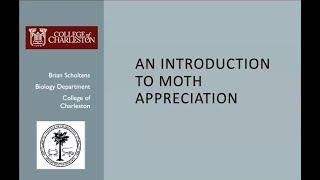 An Introduction to Moth Appreciation [upl. by Odnesor491]