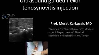 Ultrasound guided flexor tenosynovitis injection by Prof Murat Karkucak MD [upl. by Kathy947]