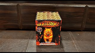 Raccoon Fireworks   Aggression 25 Shots 200 Grams [upl. by Hastings]