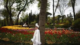 Im Zeichen des Frühlings Millionen Tulpen blühen in Istanbul [upl. by Aisela]