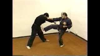 Nick Cerios Kenpo  Volume 1  Basic SelfDefense [upl. by Mcmullan]