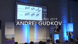 Andrei Gudkov presenting at Undoing Aging 2019 [upl. by Mllly405]